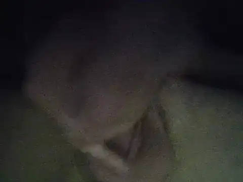 zandyplus online show from 04.05.26