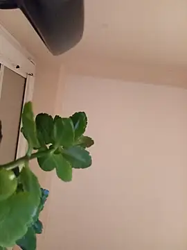 Marichka-YurCash online show from 01.10.26