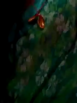 ramya sri online show from 02.02.26