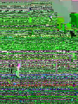 lzinho9153 online show from 04.16.26