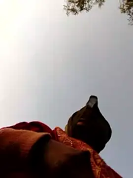 Snapshot of Jyoti_sekh chatting on 02.10.26 Jyoti sekh online show from 02.10.26