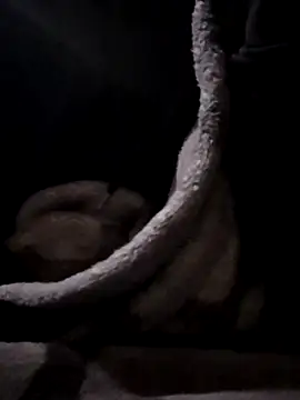 YoungAsainWithATrunk online show from 01.19.26