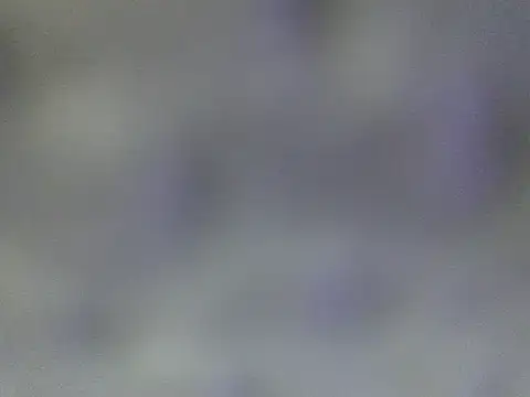 Minico25 online show from 03.29.26