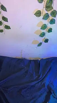 Isabella Belmont online show from 04.14.26