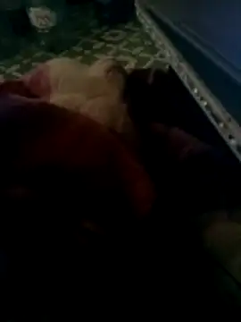 thich lo online show from 03.15.26