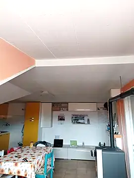 colosone online show from 03.01.25