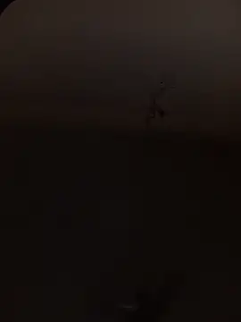 KINGPEARL69 online show from 01.10.26