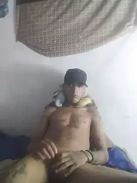 jise6373 online show from 01.08.26