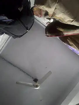 HadDrawers online show from 02.05.26