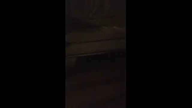 dongoralesko77 online show from 04.11.26