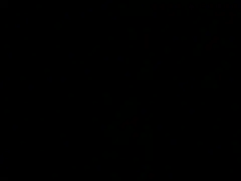 Blackkksnow online show from 07.24.26