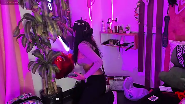 MeowMota  online show from 02.14.26