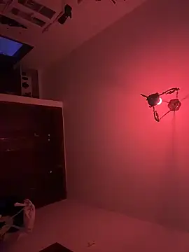 Snapshot of witchdub chatting on 02.16.26 witchdub online show from 02.16.26