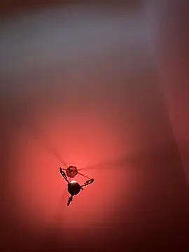 Snapshot of witchdub chatting on 02.18.26 witchdub online show from 02.18.26