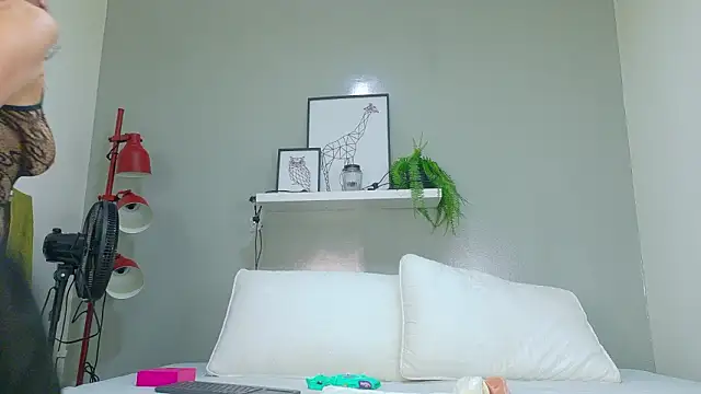 Dulcesexy   online show from 03.17.26