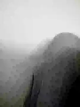 Scook Gray  online show from 04.08.26