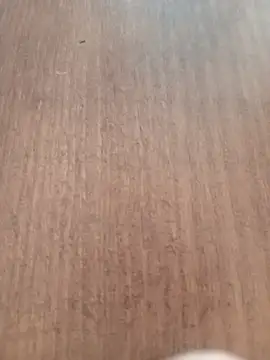 Snapshot of Kmali5465 chatting on 02.11.26 Kmali5465 online show from 02.11.26