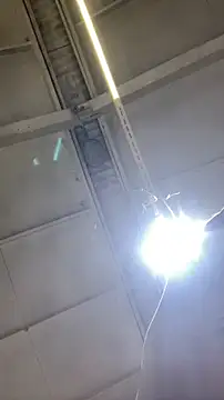 Dildogang online show from 02.11.26