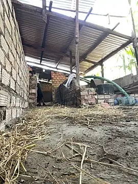 Ginny 2x online show from 02.20.26