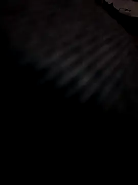 Boy4youuu online show from 03.29.26