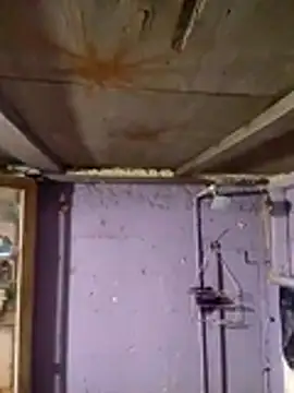 Guanatos13 online show from 02.02.26