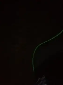 Snapshot of leox98xx chatting on 01.10.26 leox98xx online show from 01.10.26