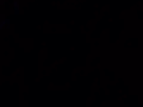 Notty 67 online show from 03.07.26