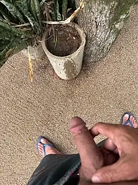 dogfrota online show from 01.11.26