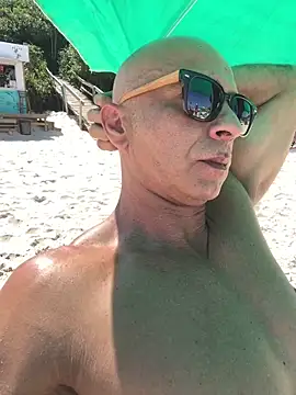 dogfrota online show from 02.12.26