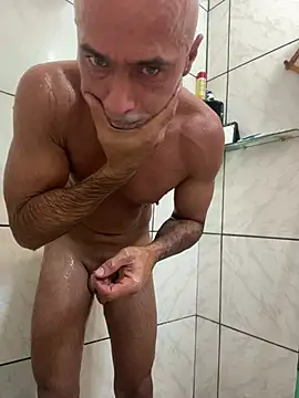 dogfrota online show from 03.20.26