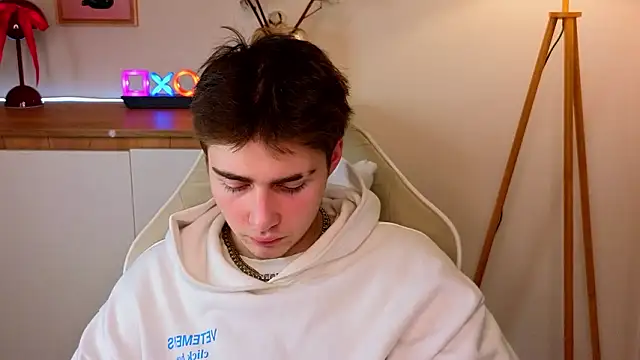 Snapshot of d3s_dn chatting on 02.04.26 d3s dn online show from 02.04.26