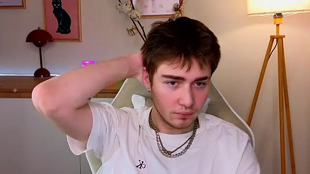 Snapshot of d3s_dn chatting on 02.11.26 d3s dn online show from 02.11.26