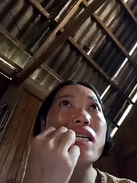 kotaka-shoow online show from 03.02.26