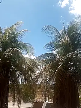  ---bucetuda    - online show from 01.16.26