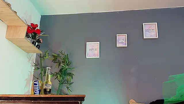 sofia laverde online show from 03.17.26