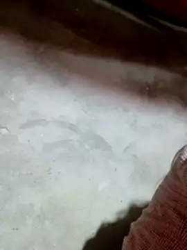 Gummiesu online show from 02.18.26