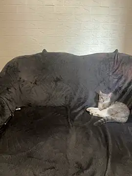 Snapshot of AlisRoxy chatting on 02.14.26 AlisRoxy online show from 02.14.26