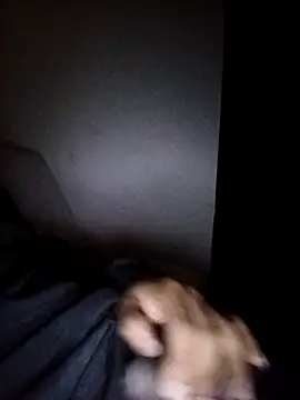 Snapshot of CorrectMusic2 chatting on 02.11.26 CorrectMusic2 online show from 02.11.26