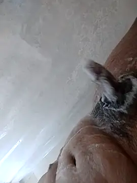 daringprince online show from 01.17.26