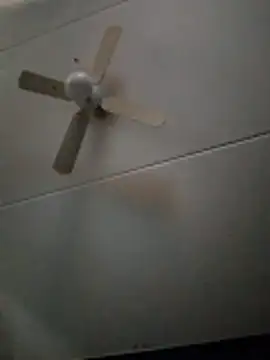 dewimp1 online show from 02.03.26