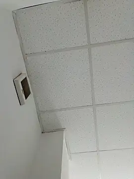 yulistar33 online show from 04.22.26