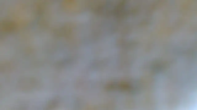 EVAN TAY online show from 02.07.26