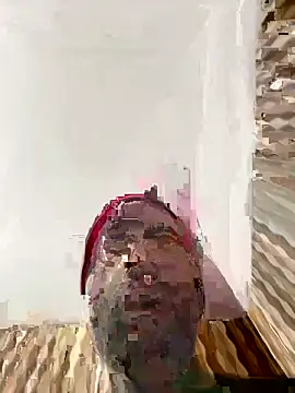 Snapshot of hardlysuck chatting on 02.04.26 hardlysuck online show from 02.04.26