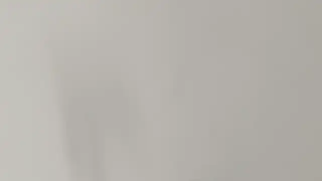 Ashley Ebony   online show from 02.07.26