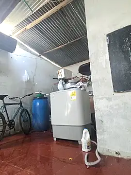 Adina Skaly online show from 03.25.26