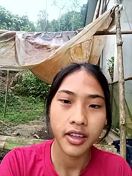 Hoa-tuylip online show from 03.27.26