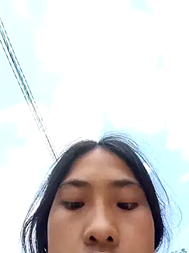 Hoa-tuylip online show from 04.11.26