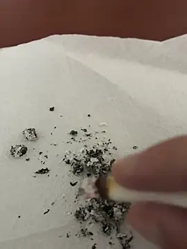 Snapshot of dickdondra chatting on 02.02.26 dickdondra online show from 02.02.26