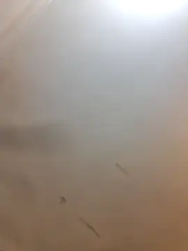 Cutytxx online show from 02.10.26