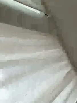 Sara0202 online show from 02.18.26